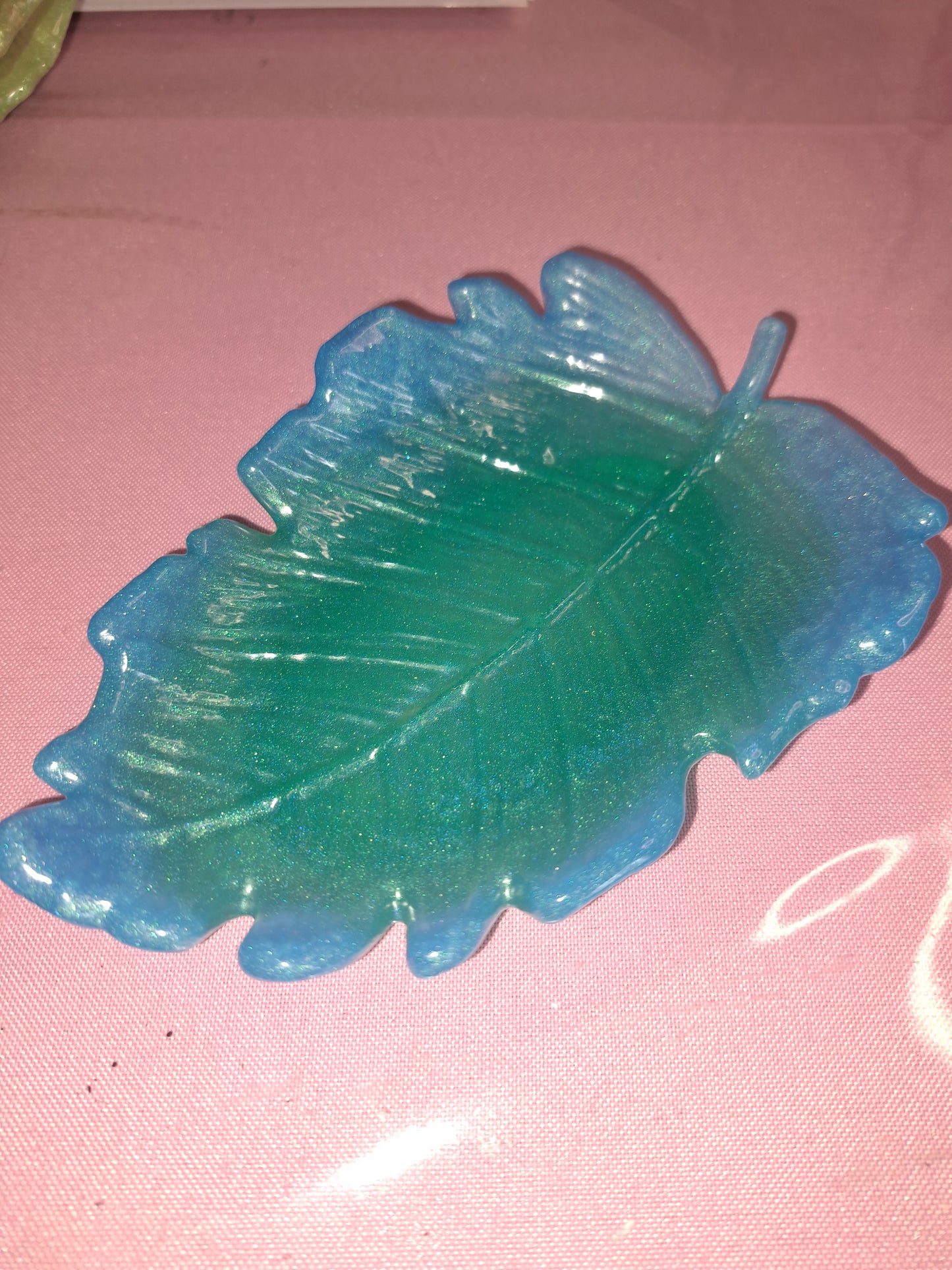 Vide poche bleu/vert